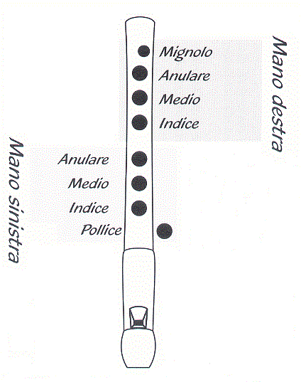 Musica Maestri