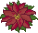 stella di natale